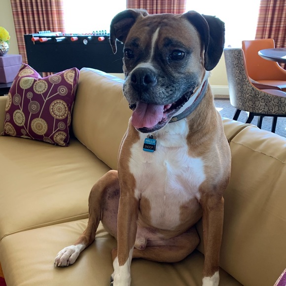 Meet your Posher, Kelly - Picture 3 of 4